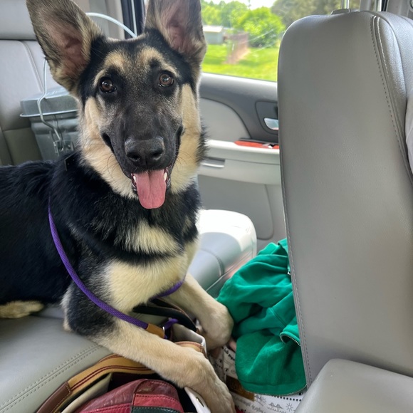 Meet your Posher, Kaitlyn - Picture 10 of 11